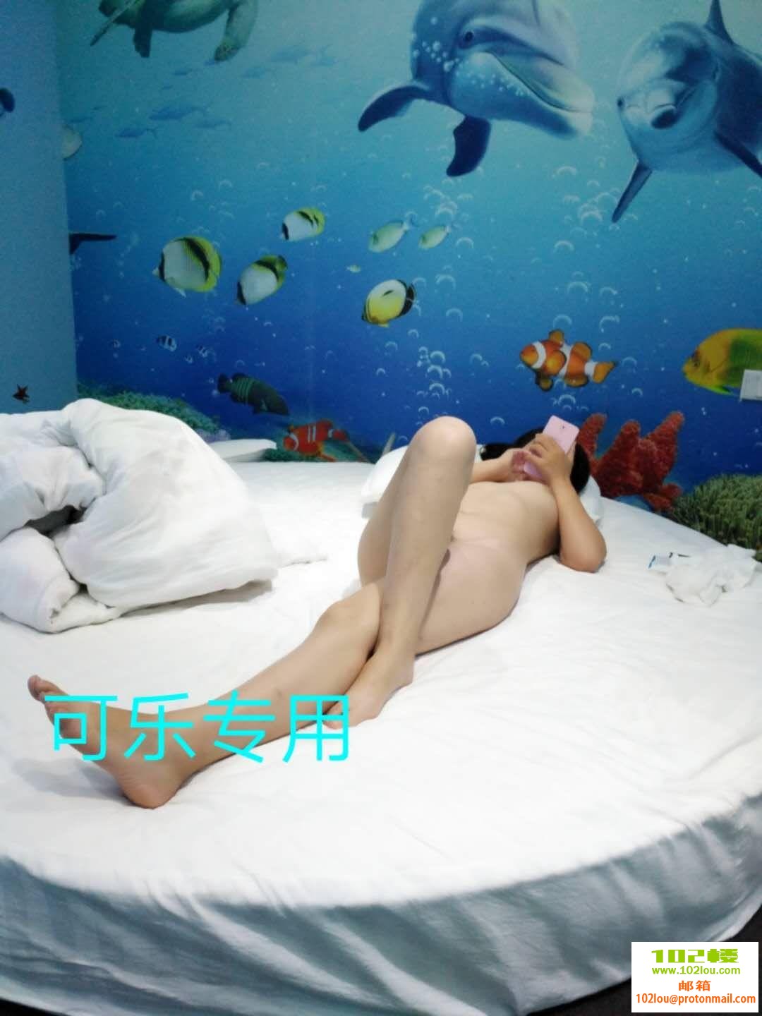095429ks2bssweesdheede.jpg